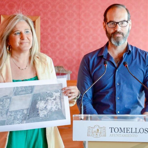 Tomelloso se queja de la respuesta de Red Eléctrica a las alegaciones a la subestación: "Son un cúmulo de despropósitos"