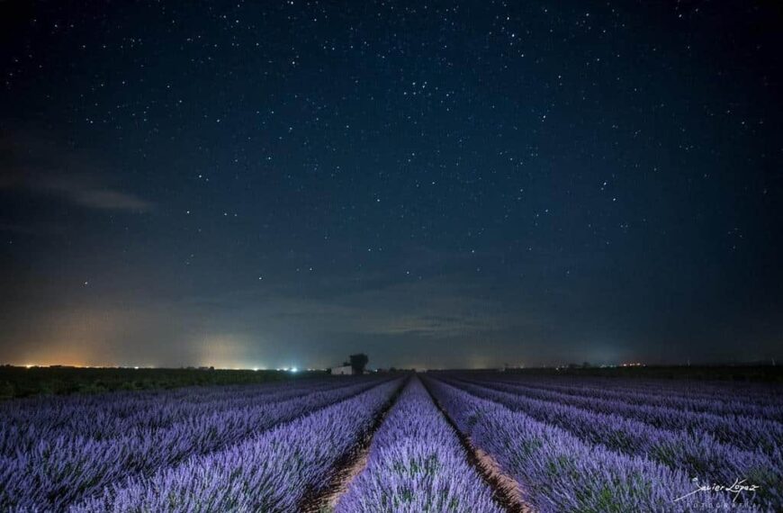 Los 8 destinos imprescindibles de La Mancha para observar las estrellas en verano