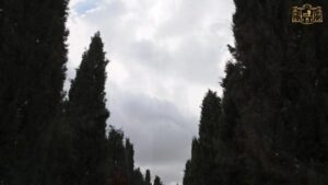 Explorando el Futuro Sitio del Crematorio en Tomelloso: Un Recorrido Detallado