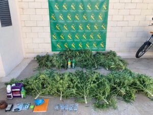 La operación 'Pergal' deja tres detenidos y 17 kilos de marihuana incautados en Tomelloso