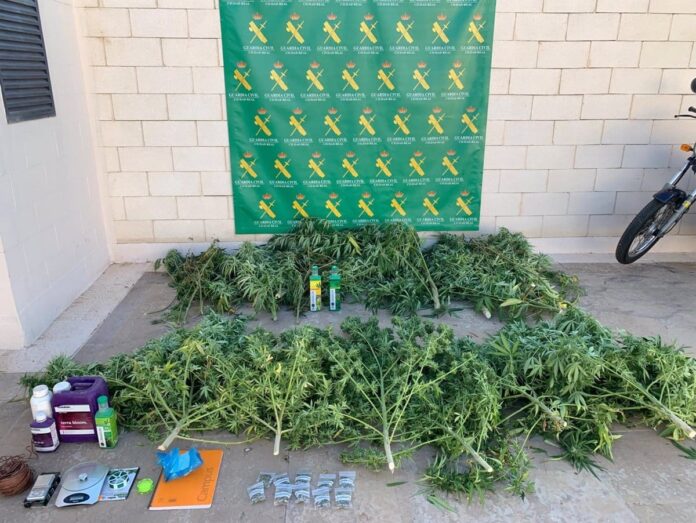 La operación 'Pergal' deja tres detenidos y 17 kilos de marihuana incautados en Tomelloso