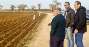 Celebración del Día de la Simienza en Tomelloso: Un Viaje Anual al Pasado Agrícola