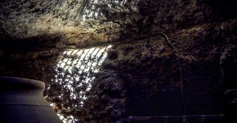 Seminario Científico Internacional ‘Bajo tierra, patrimonio excavado’ tendrá lugar en Tomelloso