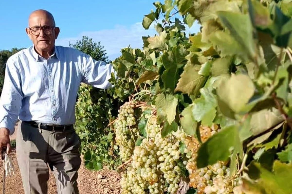 Eusebio Becerra García será Vendimiador del Año en la XII Fiesta de la Vendimia Tradicional en Tomelloso