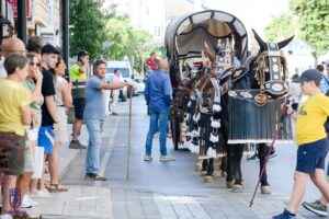Actualización de Álbum del Ayuntamiento de Tomelloso: Nuevas Fotos del Desfile de Reatas, Carros y Mulas