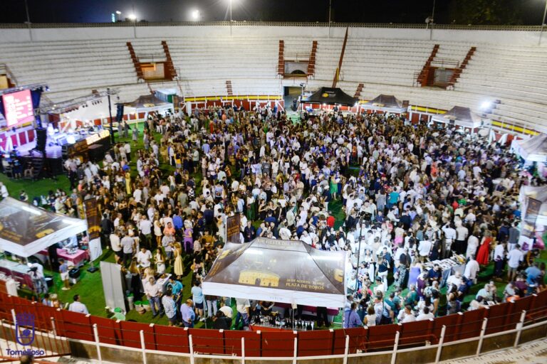 XIII Fiesta del Vino: El Ayuntamiento de Tomelloso actualiza su álbum de fotos