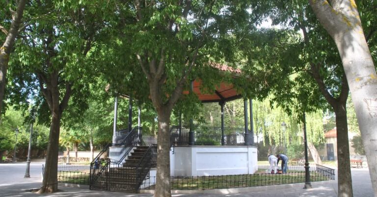 Progreso Continuo: El Ayuntamiento de Tomelloso Intensifica Limpieza y Mantenimiento de Zonas Verdes en la Avenida…