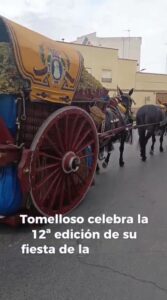 Tomelloso: Raíces, Esfuerzo y Orgullo Compartido en la Fiesta de la Vendimia