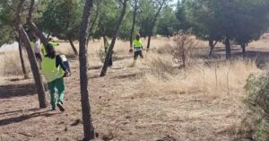 El Ayuntamiento Acomete Labores de Poda y Desbroce en el Polígono Los Portales