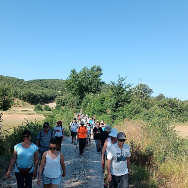 Más de un centenar de personas participaron en las II Jornadas sobre la Guerra Civil organizadas por la Sociedad de Amigos de Cogolludo