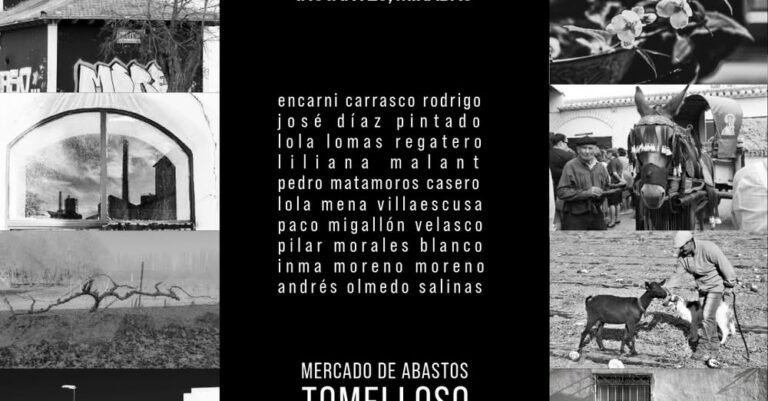 Exposición Fotográfica ‘Instantes, Miradas’ de Varios Artistas en la Asociación ‘El Galgo Blanco’: Inauguración Este Viernes a las 20:00h