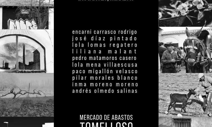 Exposición Fotográfica ‘Instantes, Miradas’ de Varios Artistas en la Asociación ‘El Galgo Blanco’: Inauguración Este Viernes a las 20:00h