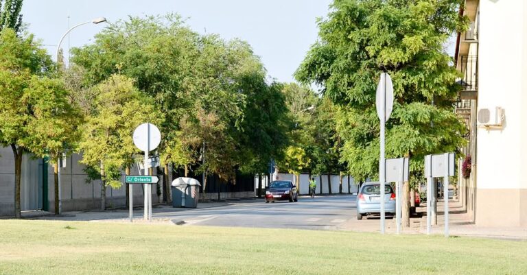 El Ayuntamiento anuncia la próxima Operación Asfalto, parte integral del Plan de Obras Municipales 2025