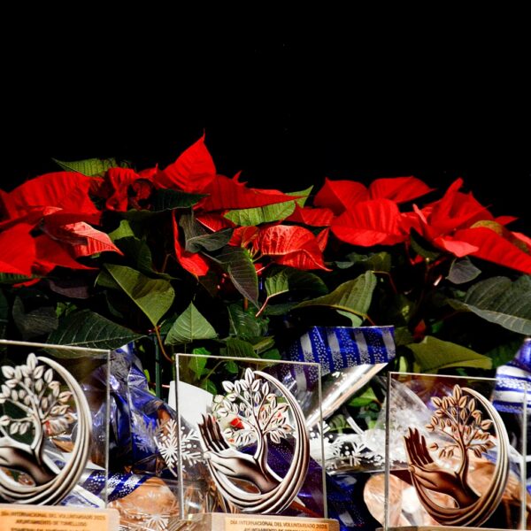 Gala del Voluntariado en Tomelloso: Nuevas Fotos Añadidas al Álbum por el Ayuntamiento