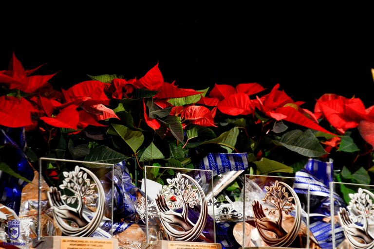 Gala del Voluntariado en Tomelloso: Nuevas Fotos Añadidas al Álbum por el Ayuntamiento