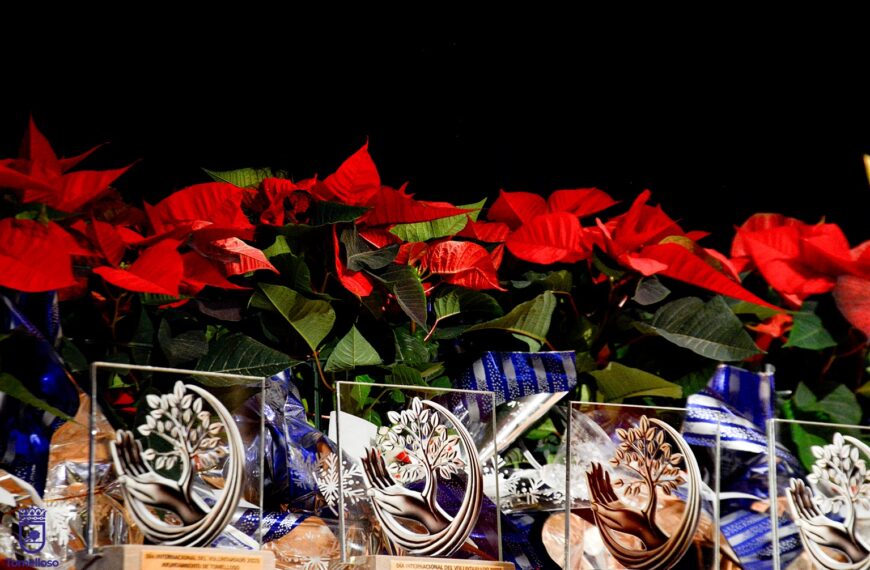 Gala del Voluntariado en Tomelloso: Nuevas Fotos Añadidas al Álbum por el Ayuntamiento