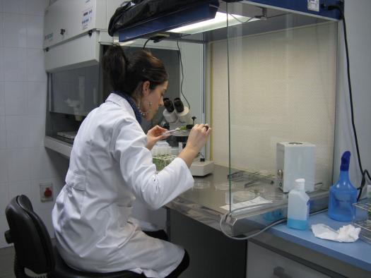 Refuerzo del equipo investigador del IRIAF con nuevas vacantes en proyectos específicos de I+D.