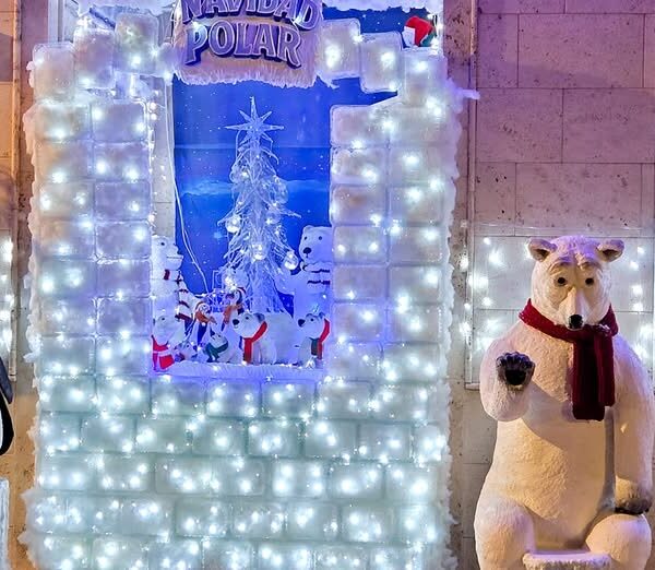 Revelado el Veredicto del Concurso de Decoración Navideña del Ayuntamiento de Tomelloso