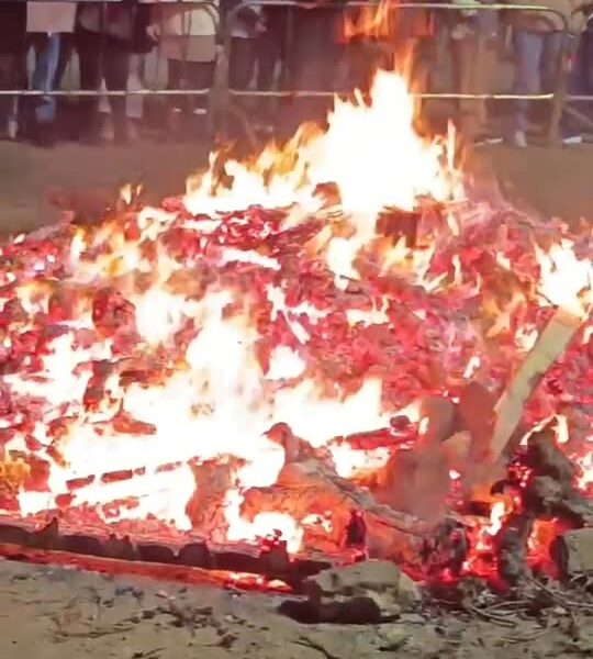 Inflamando Tradiciones: el Renacimiento del Orgullo de Tomelloso con la Hoguera de San Antón