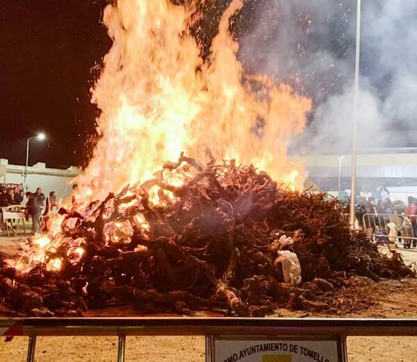 Publicación de Normativas Municipales para el Encendido de Hogueras de San Antón: Viable a partir del 16 de Enero desde las 4PM