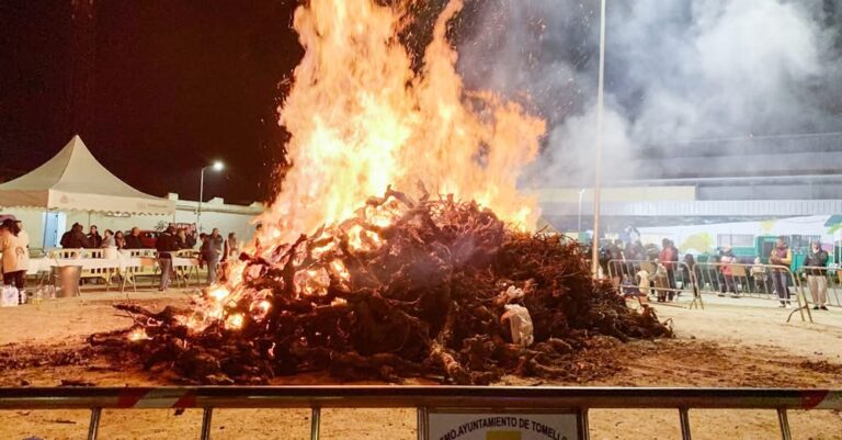 Publicación de Normativas Municipales para el Encendido de Hogueras de San Antón: Viable a partir del 16 de Enero desde las 4PM