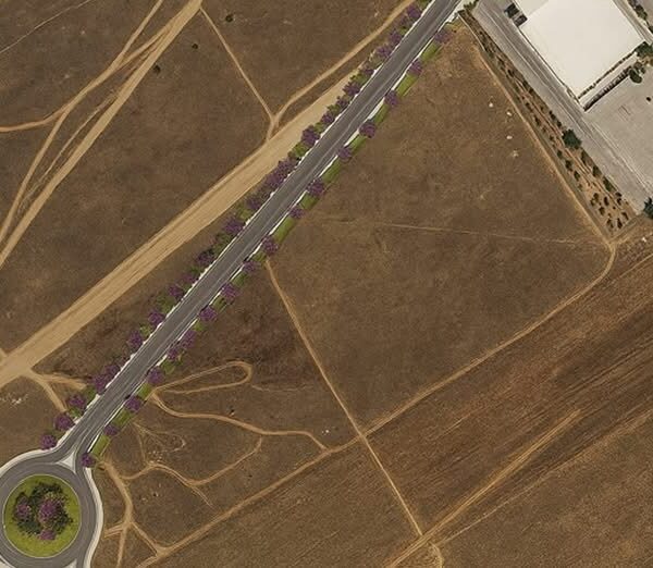 Avanza la Urbanización de la Avenida de Niort: Pleno Municipal Aprueba Nuevo Trámite y Próxima Licitación de Obras