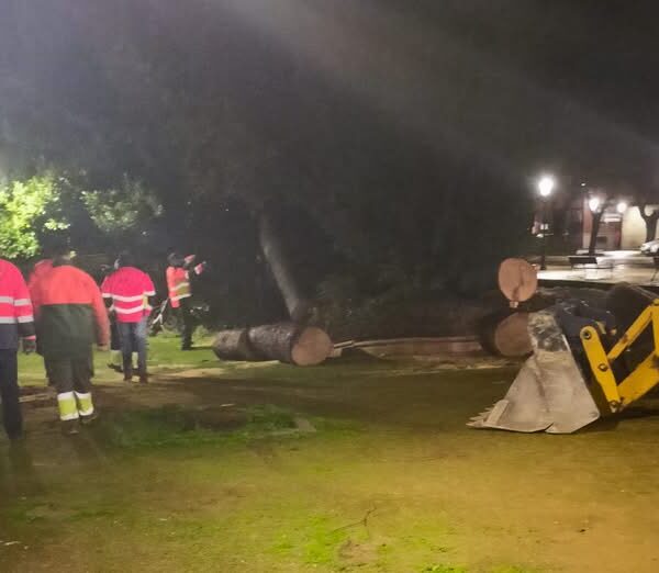 Avanzan las Operaciones de Reparación y Limpieza del Ayuntamiento tras el Devastador Temporal