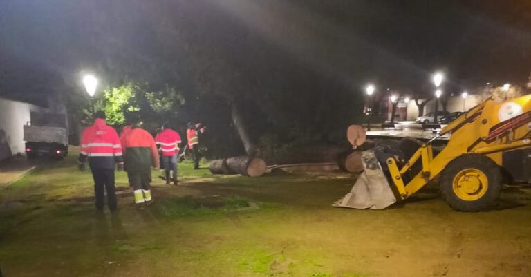 Avanzan las Operaciones de Reparación y Limpieza del Ayuntamiento tras el Devastador Temporal