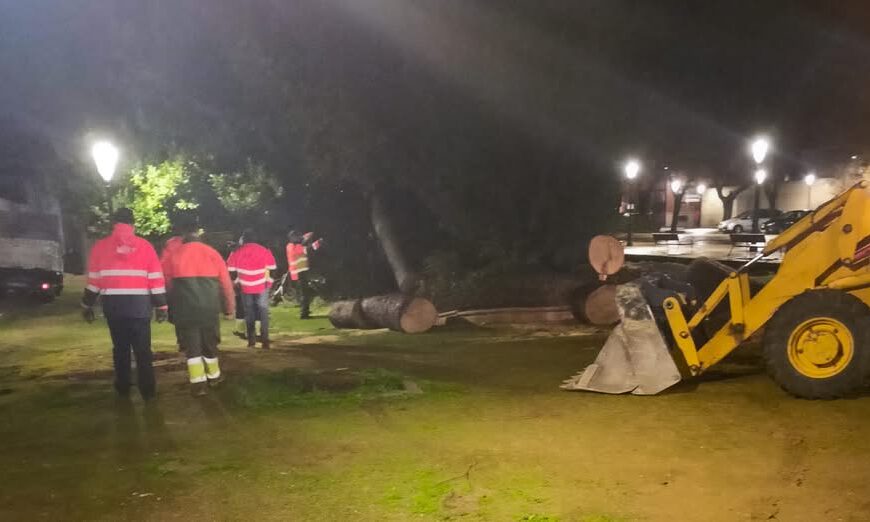 Avanzan las Operaciones de Reparación y Limpieza del Ayuntamiento tras el Devastador Temporal