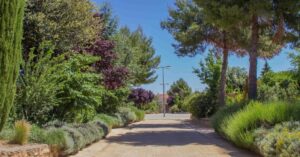 ertos: Parques y jardines locales reabren tras reparar los daños del temporal.