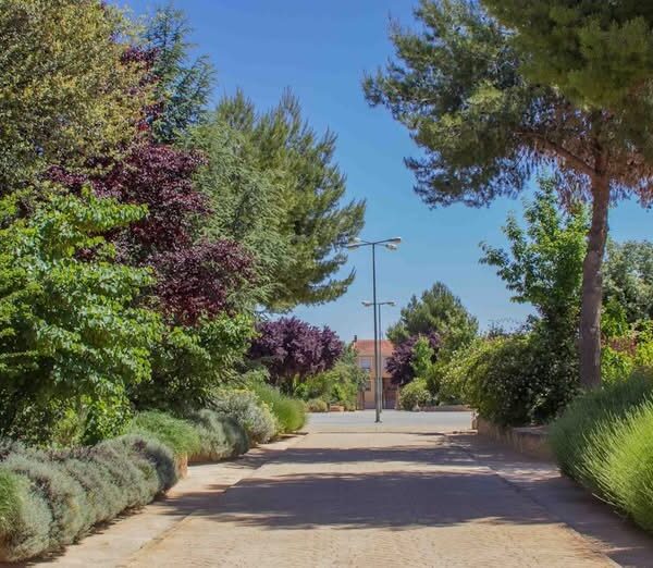 ertos: Parques y jardines locales reabren tras reparar los daños del temporal.