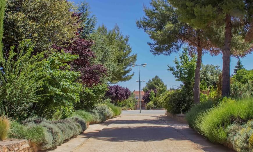 ertos: Parques y jardines locales reabren tras reparar los daños del temporal.