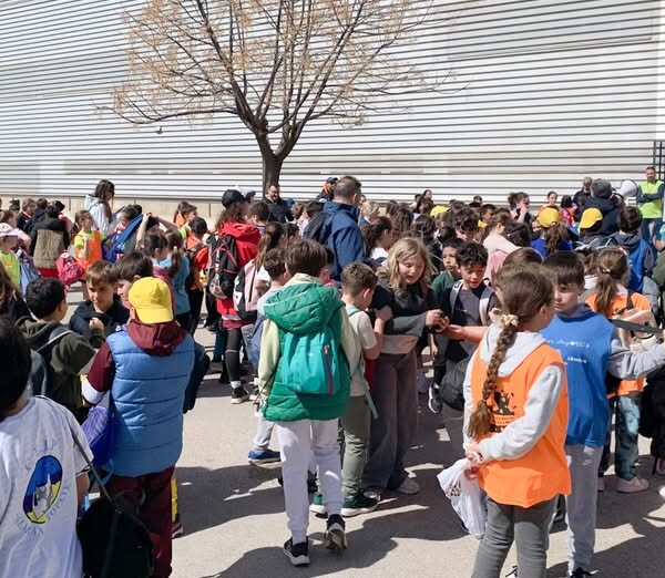 450 Estudiantes de 4º de Primaria Participan en Olimpiadas de Deportes Alternativos en la Ciudad Deportiva