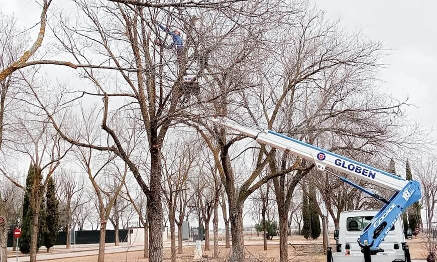 Ayuntamiento Impulsa Trabajos de Poda en la Ciudad Deportiva como Parte de su Planificación 2025