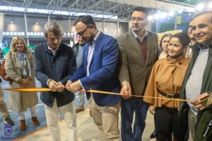 Nuevas fotos publicadas por el Ayuntamiento de Tomelloso en el álbum Stockalia 2026