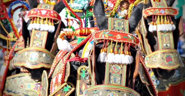 Jornadas de Celebración Pre-Romería en Honor a la Santísima Virgen de las Viñas: Un Evento Especial de las Asociaciones de Carreros de Tomelloso