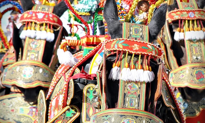 Jornadas de Celebración Pre-Romería en Honor a la Santísima Virgen de las Viñas: Un Evento Especial de las Asociaciones de Carreros de Tomelloso