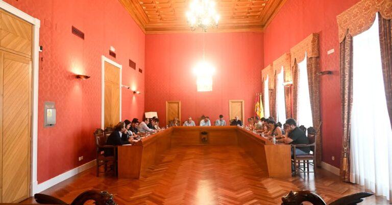 Divergencias y Consensos en Grupos Municipales Sobre Inmigración y ‘Prioridad Nacional’: Un Debate en Profundidad en el Pleno Municipal