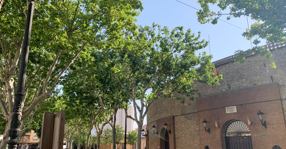 Instalación de 11 Nuevas Cámaras de Videovigilancia en Zonas Turísticas, Financiadas por Fondos Europeos: Un Paso Adelante del Ayuntamiento para Reforzar la Seguridad