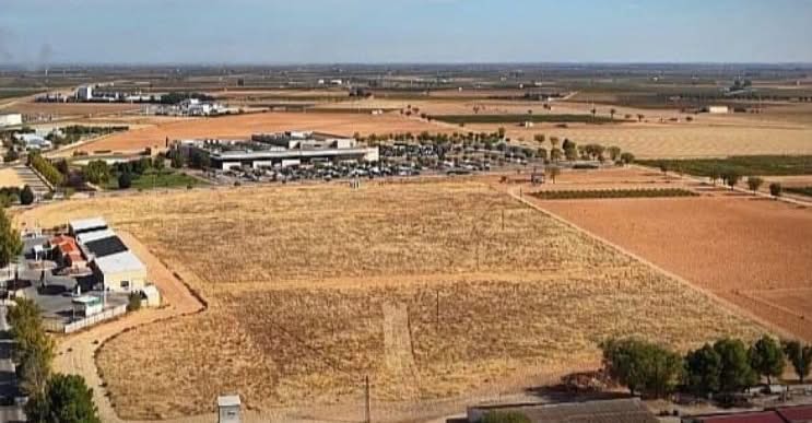 Licitación en marcha para la transformación de 76.000 metros cuadrados en el Parque V Centenario: un oasis de ocio, deporte y convivencia